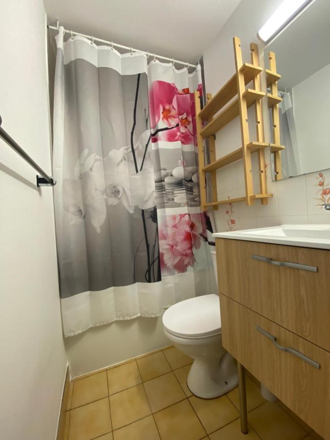 Petit T2 Proche De La Apartment